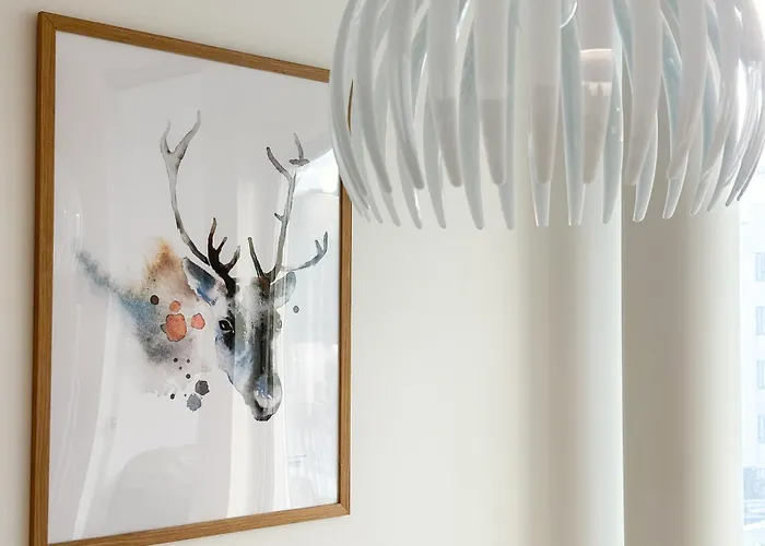 Apartment Hostit Arctic By Booklapland